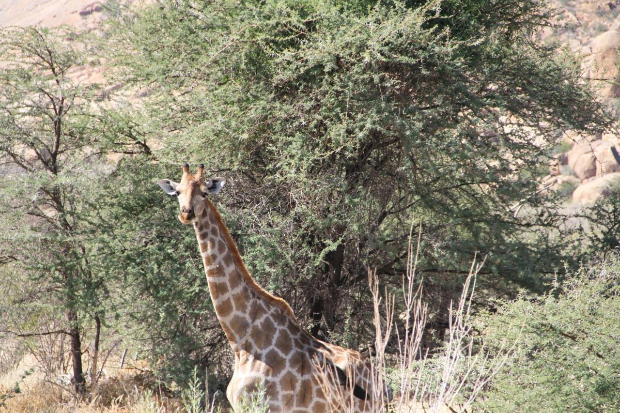Ai Aiba - The Rock Painting Lodge Omaruru Bagian luar foto
