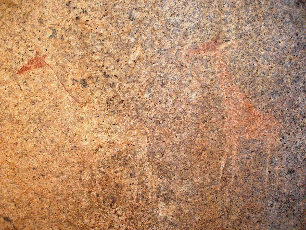 Ai Aiba - The Rock Painting Lodge Omaruru Bagian luar foto