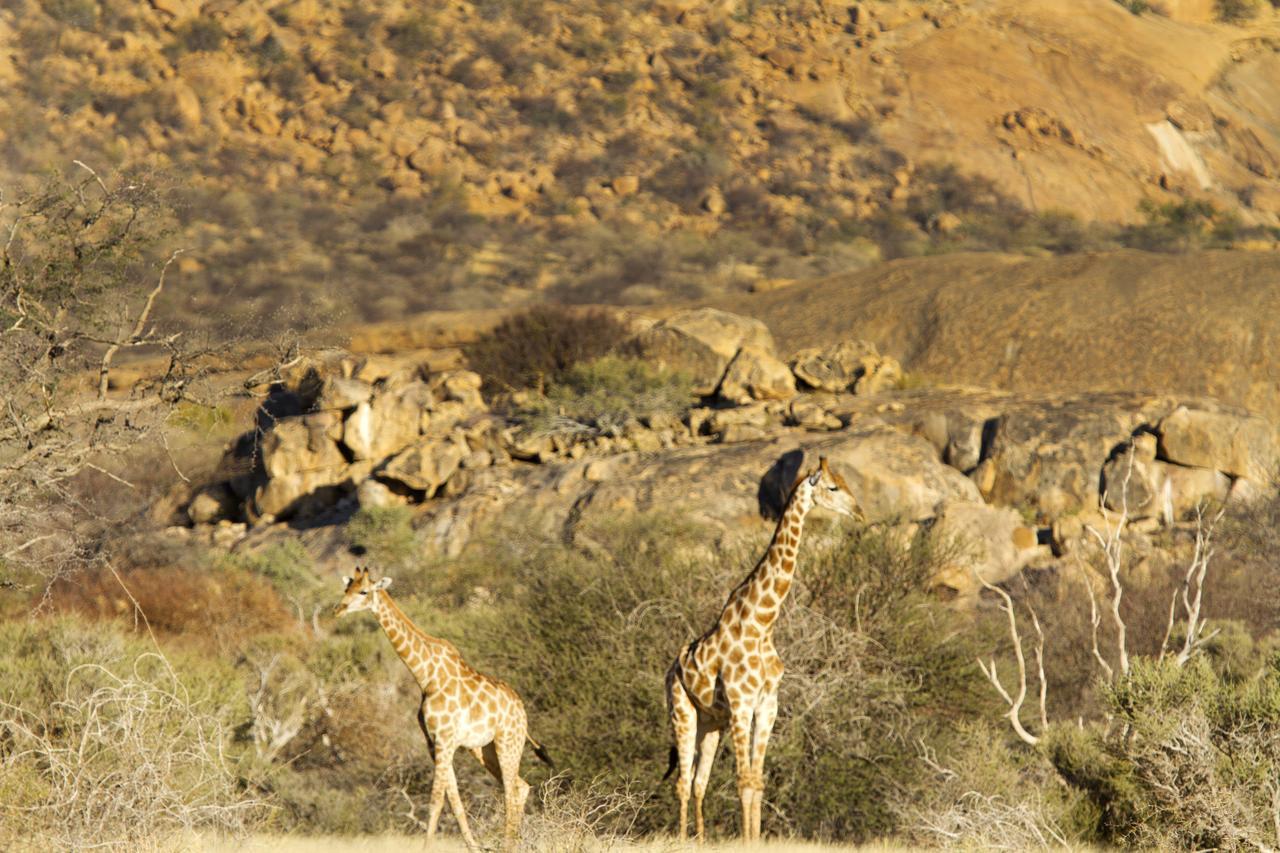 Ai Aiba - The Rock Painting Lodge Omaruru Bagian luar foto